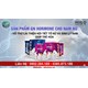 Giá Bán Sản Phẩm Nội Tiết Tố GNHormone Higo Và Công Năng Tác Dụng
